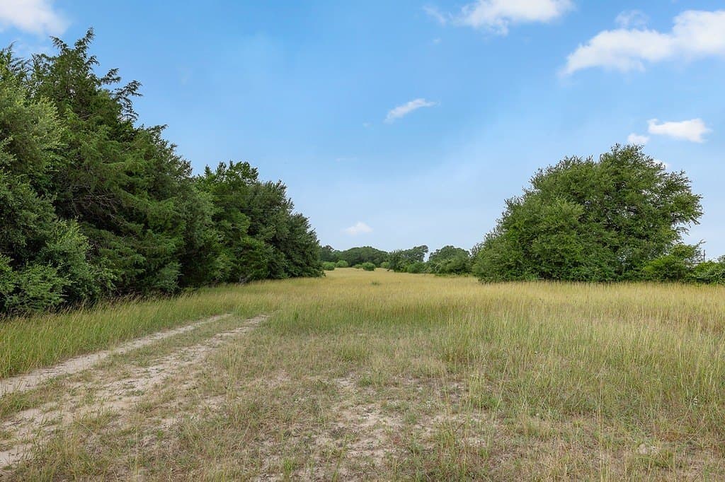16.65 acres in Fayette County - photo 2