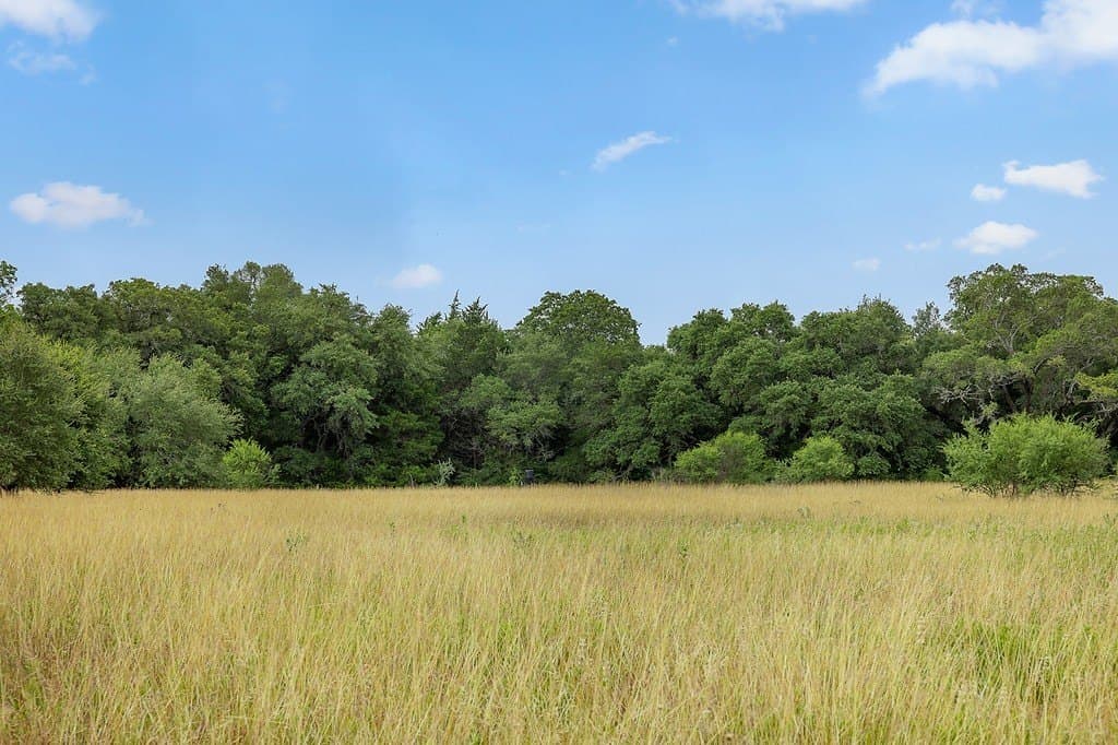 16.65 acres in Fayette County - photo 5