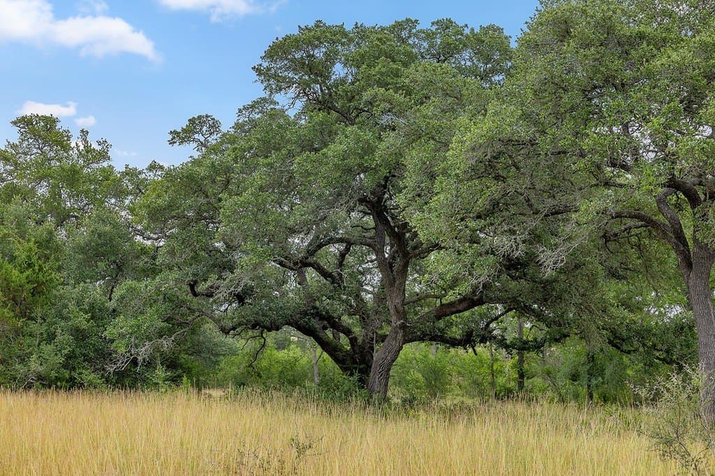 16.65 acres in Fayette County