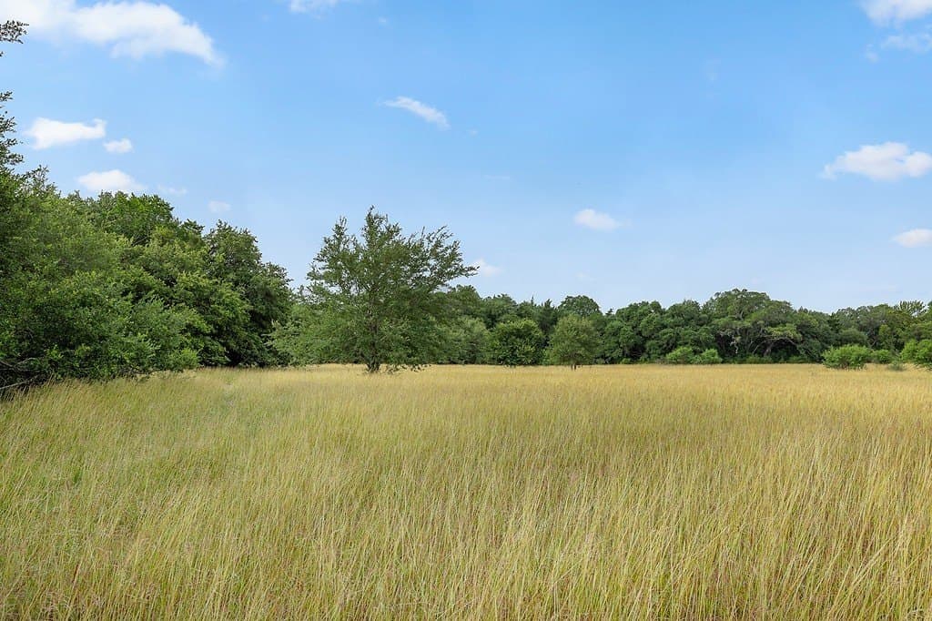 16.65 acres in Fayette County - photo 4