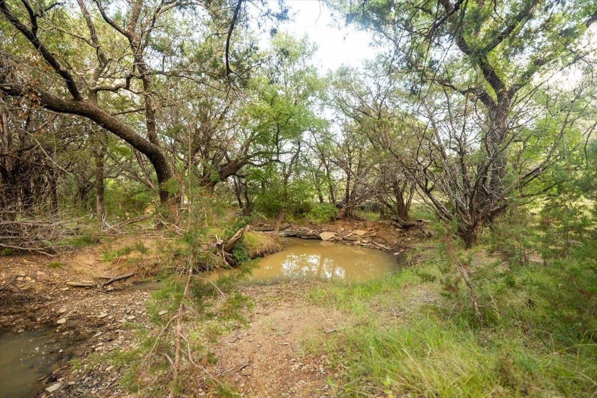 36.58 acres in Eastland County - photo 25