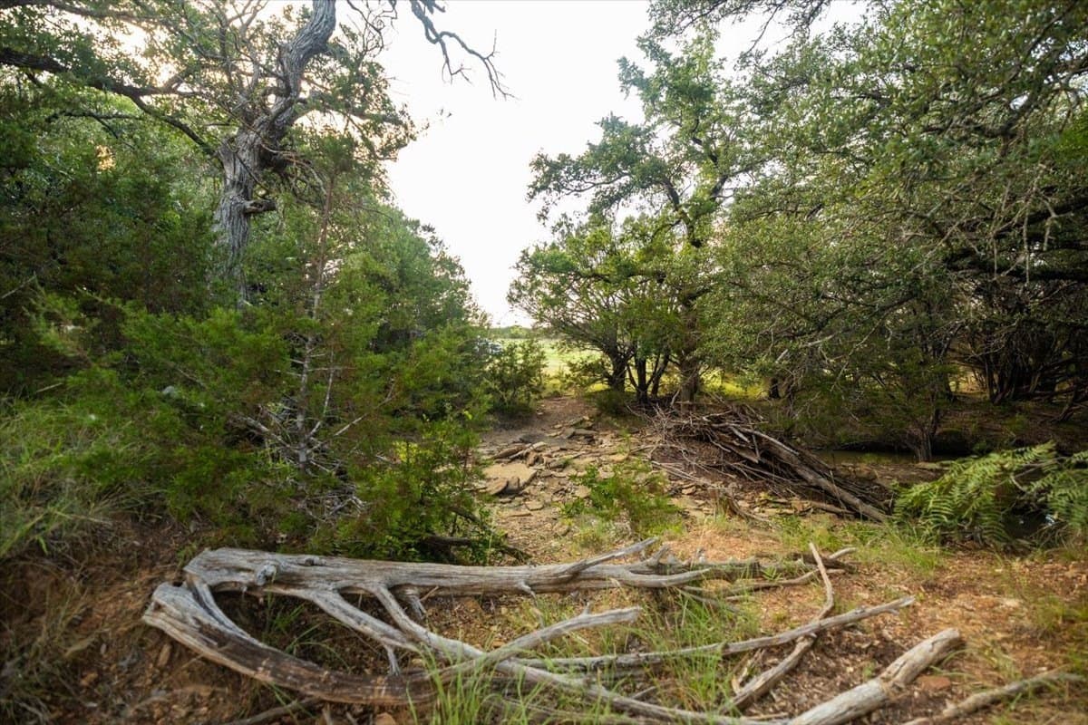 36.58 acres in Eastland County - photo 28