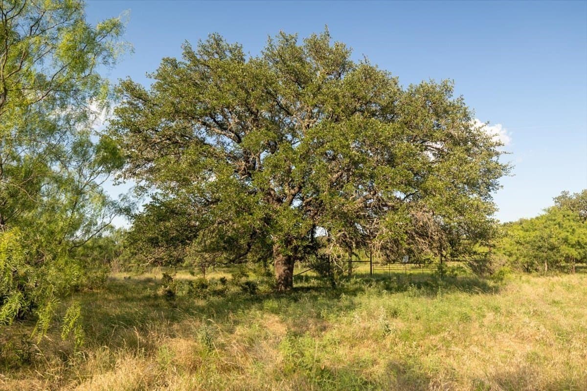 36.58 acres in Eastland County - photo 21