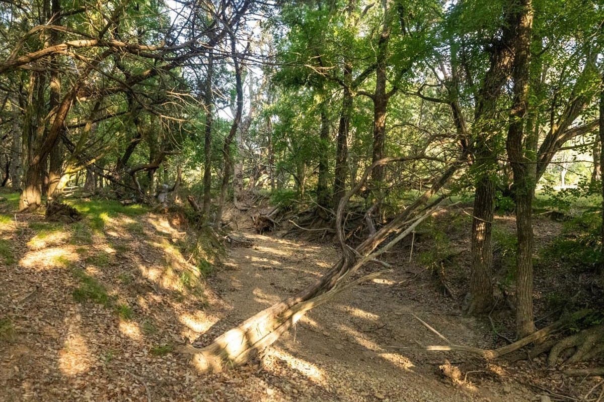 36.58 acres in Eastland County - photo 24