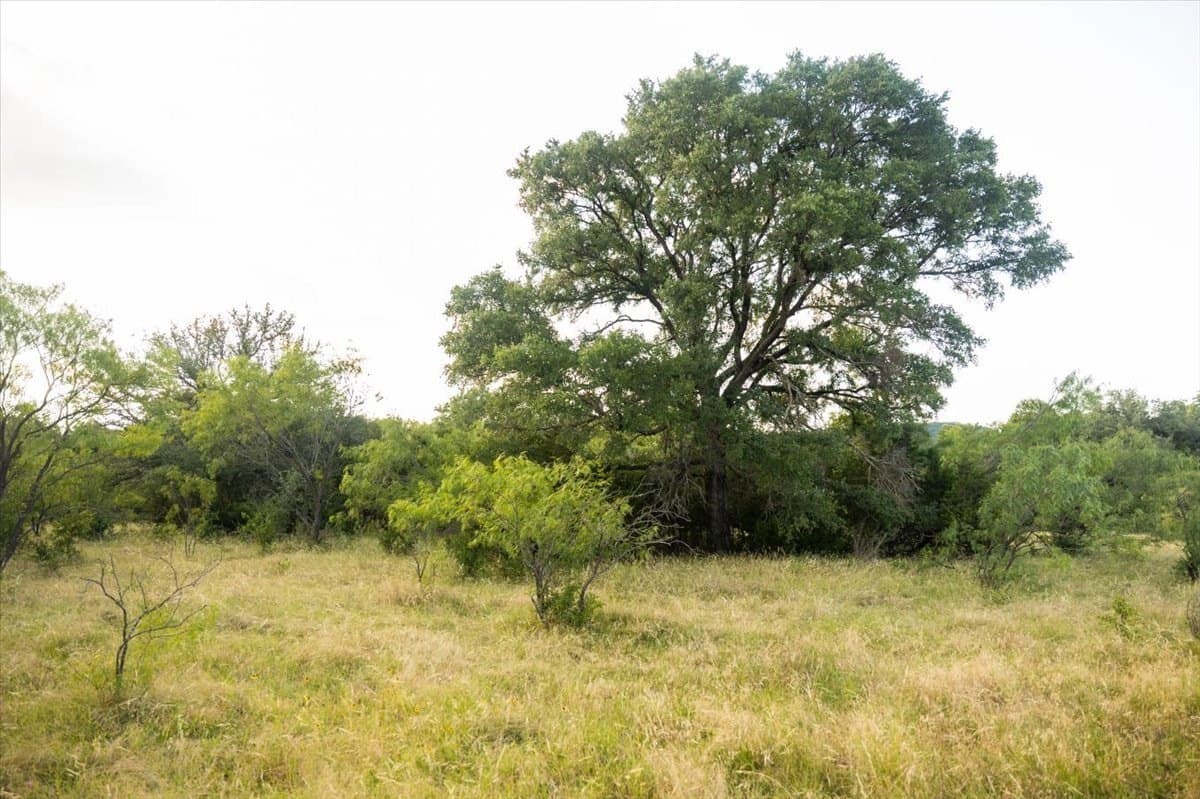 36.58 acres in Eastland County - photo 27