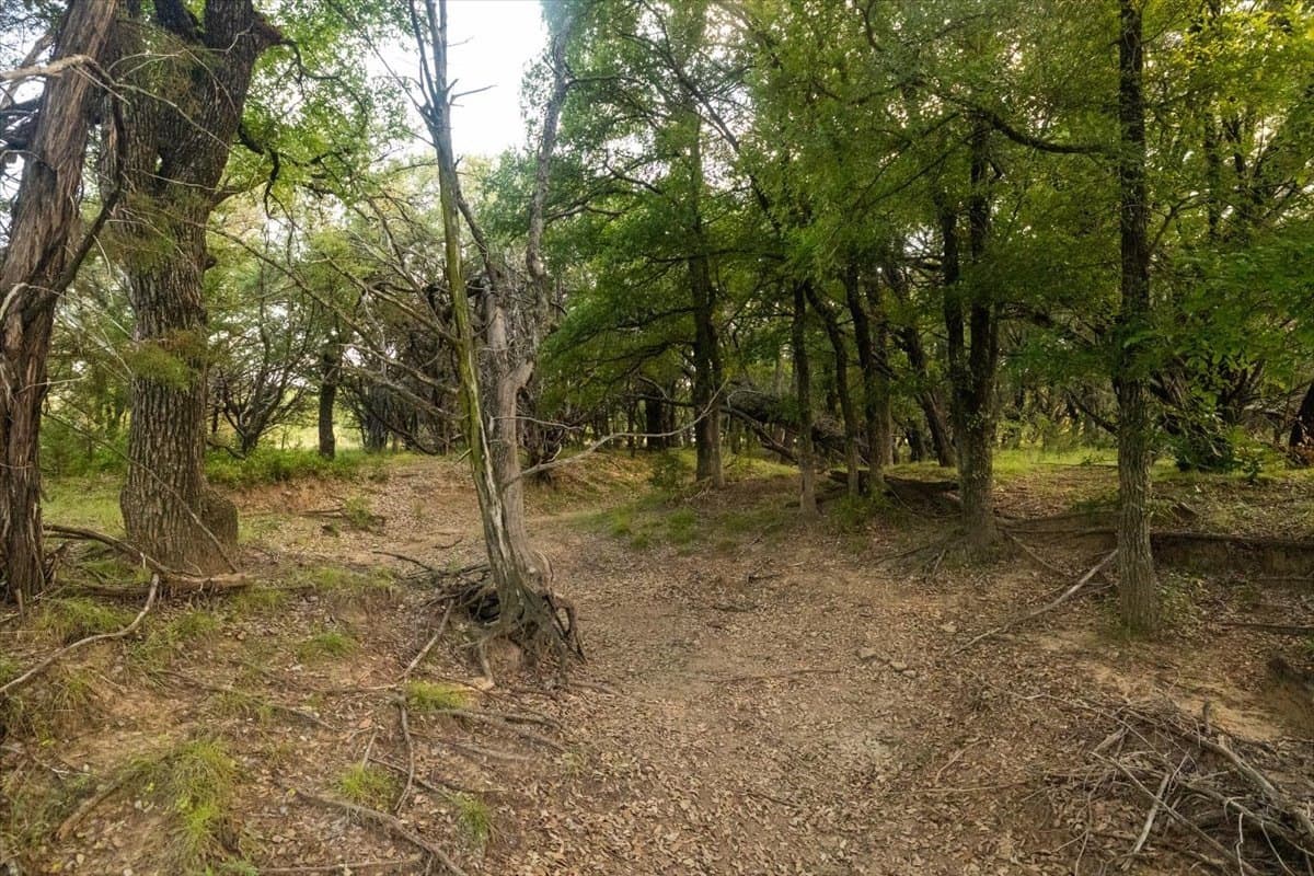 36.58 acres in Eastland County - photo 31