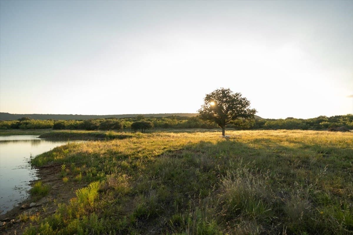 36.58 acres in Eastland County gallery image 2