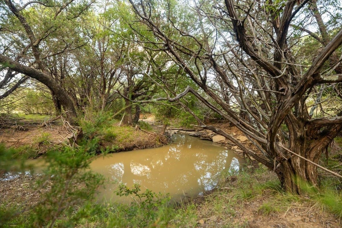 36.58 acres in Eastland County - photo 10