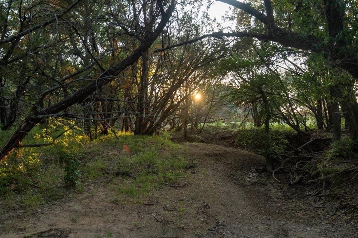 36.58 acres in Eastland County gallery image 4