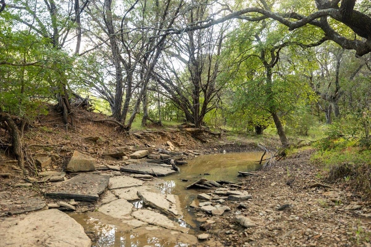 36.58 acres in Eastland County - photo 26