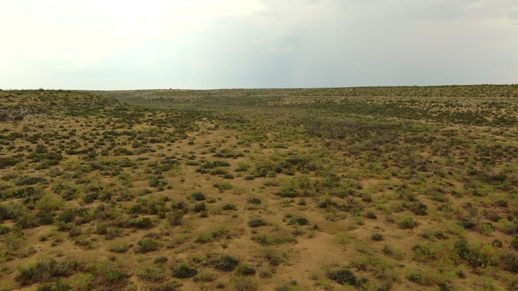 100 acres in Crockett County - photo 34