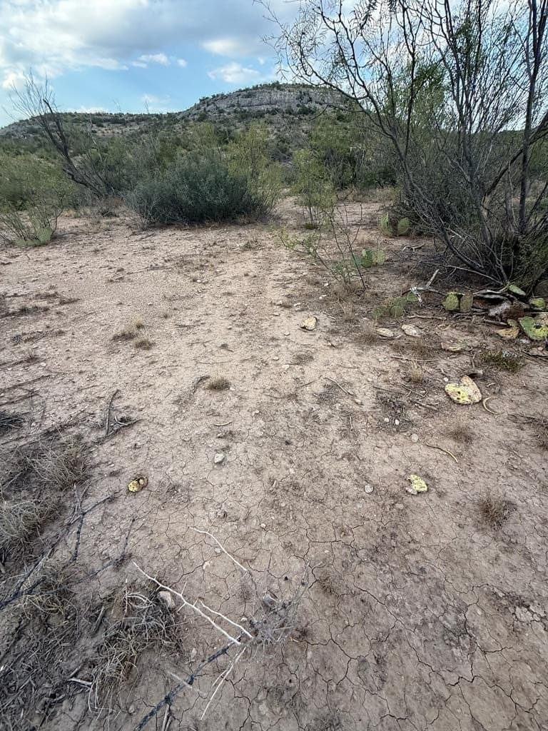 100 acres in Crockett County