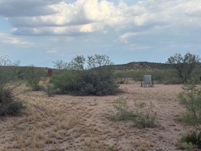 100 acres in Crockett County - photo 12