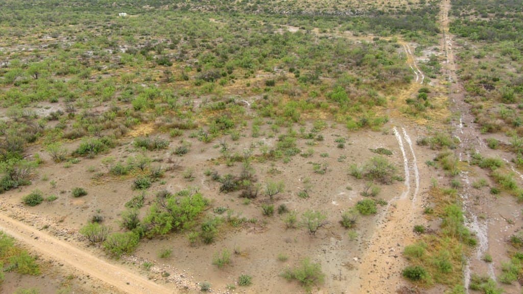 100 acres in Crockett County - photo 23