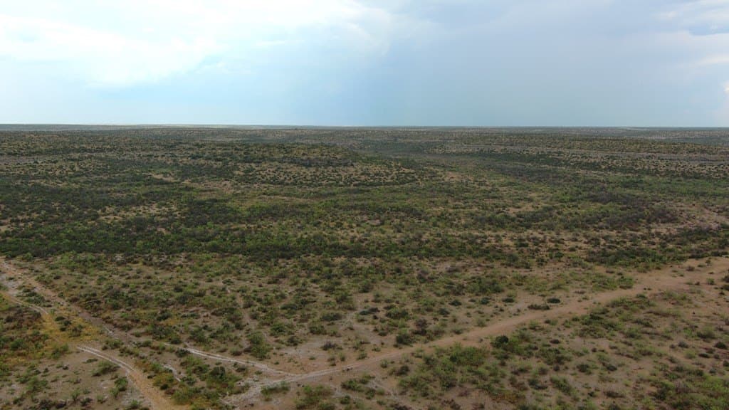 100 acres in Crockett County - photo 25