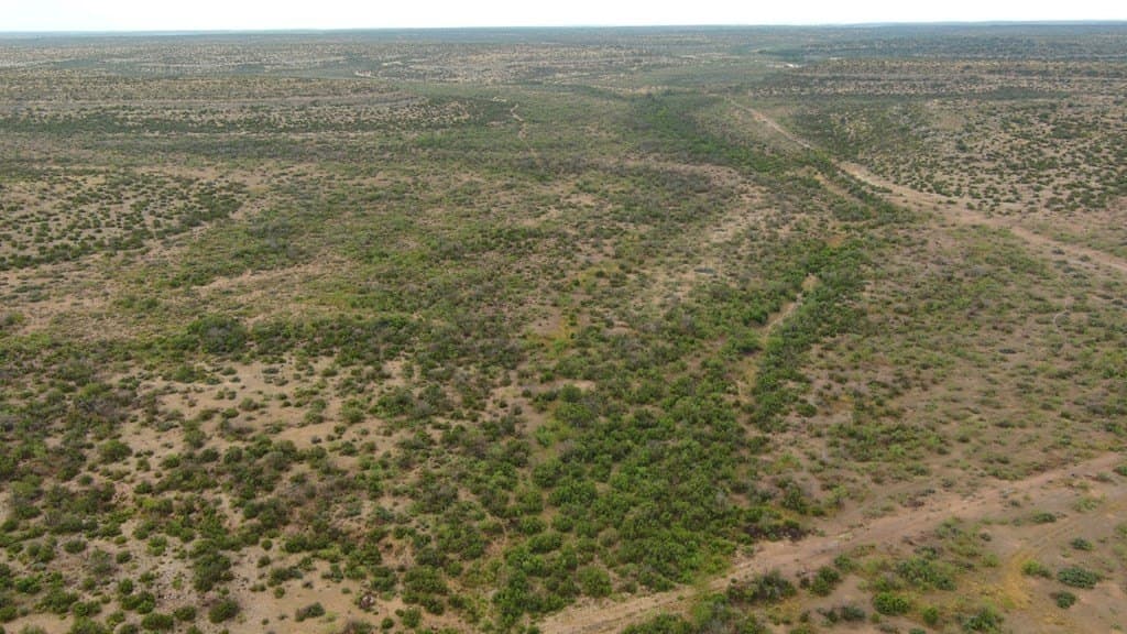 100 acres in Crockett County - photo 30