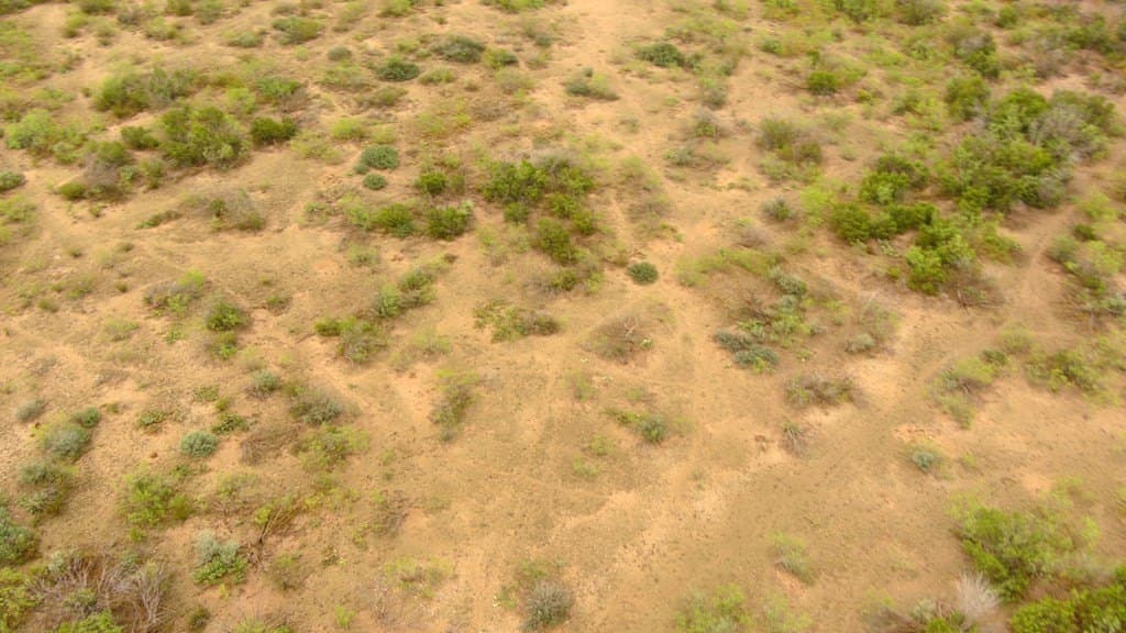 100 acres in Crockett County - photo 33