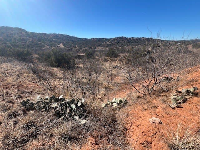 207.43 acres in Hall County - photo 7