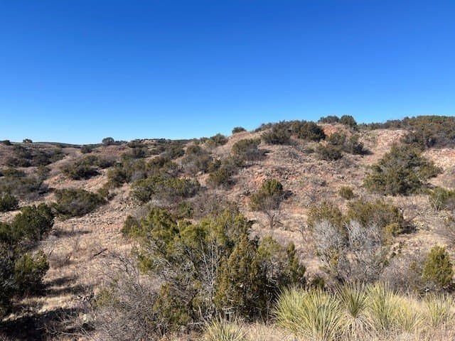 207.43 acres in Hall County - photo 19