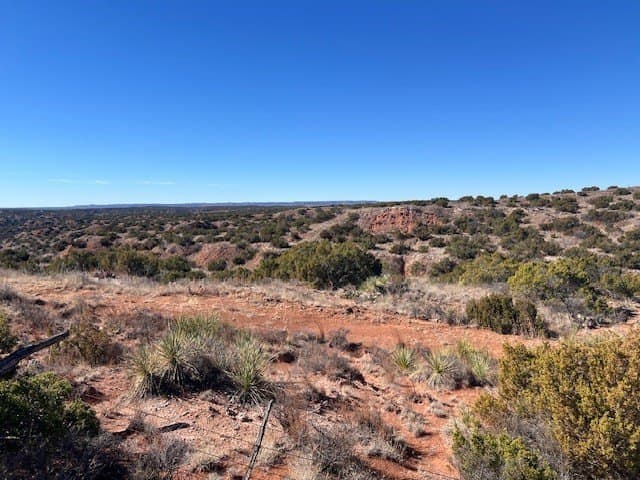 207.43 acres in Hall County - photo 8