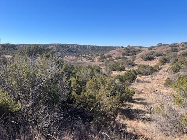 207.43 acres in Hall County - photo 18