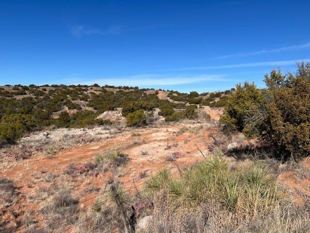 207.43 acres in Hall County - photo 9