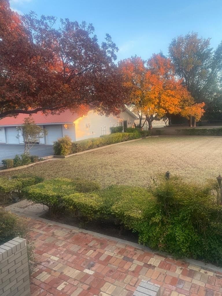 17 acres in Midland County - photo 46