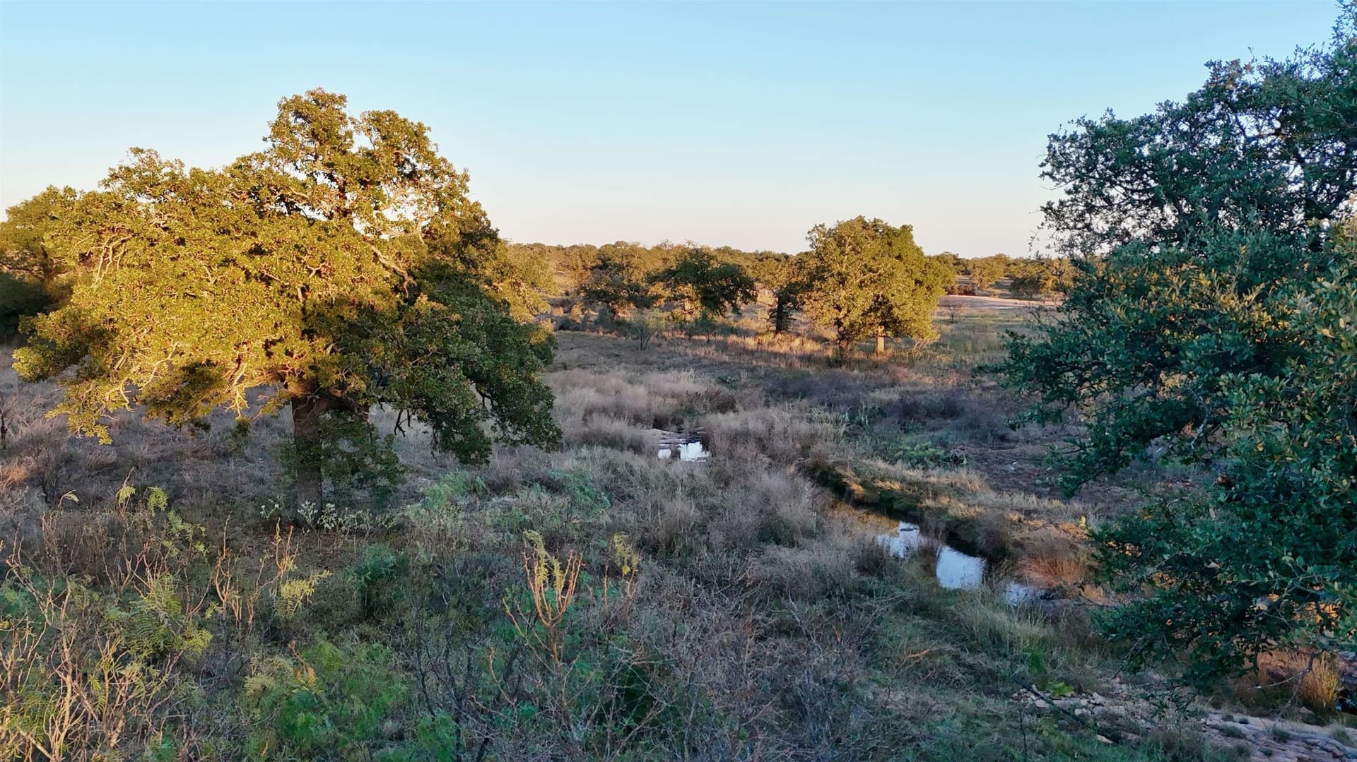 75.9 acres in Llano County - photo 25