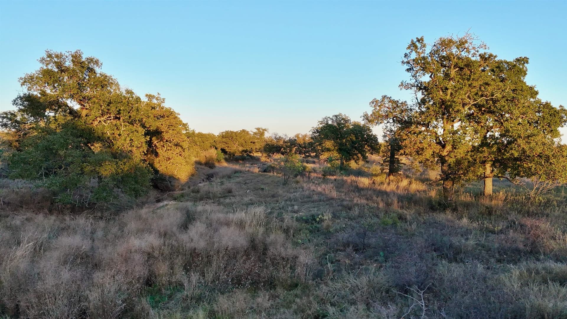 75.9 acres in Llano County - photo 26