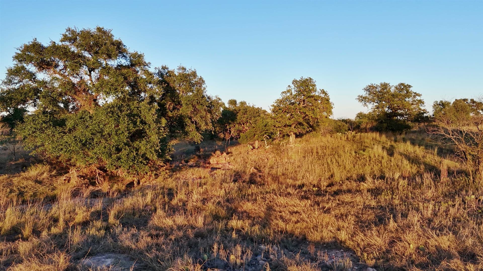 75.9 acres in Llano County - photo 23