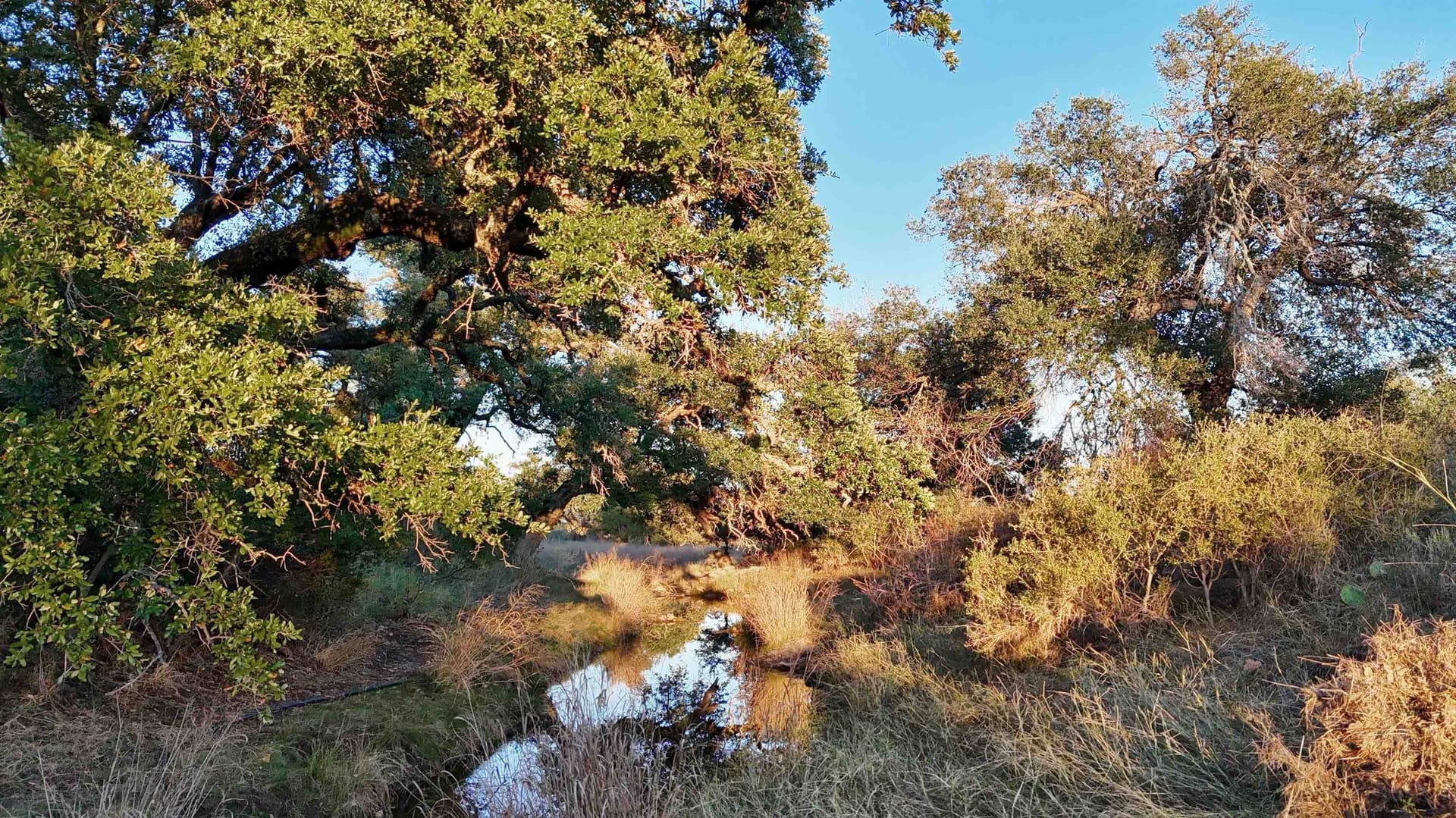 75.9 acres in Llano County - photo 10