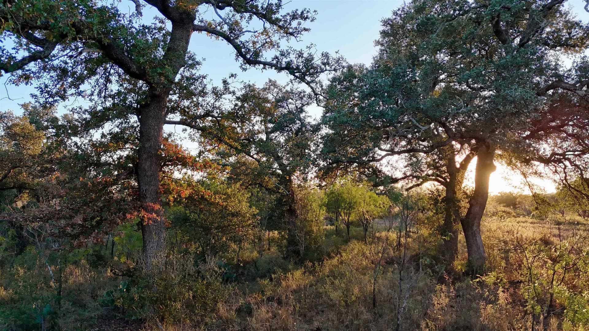 75.9 acres in Llano County - photo 11