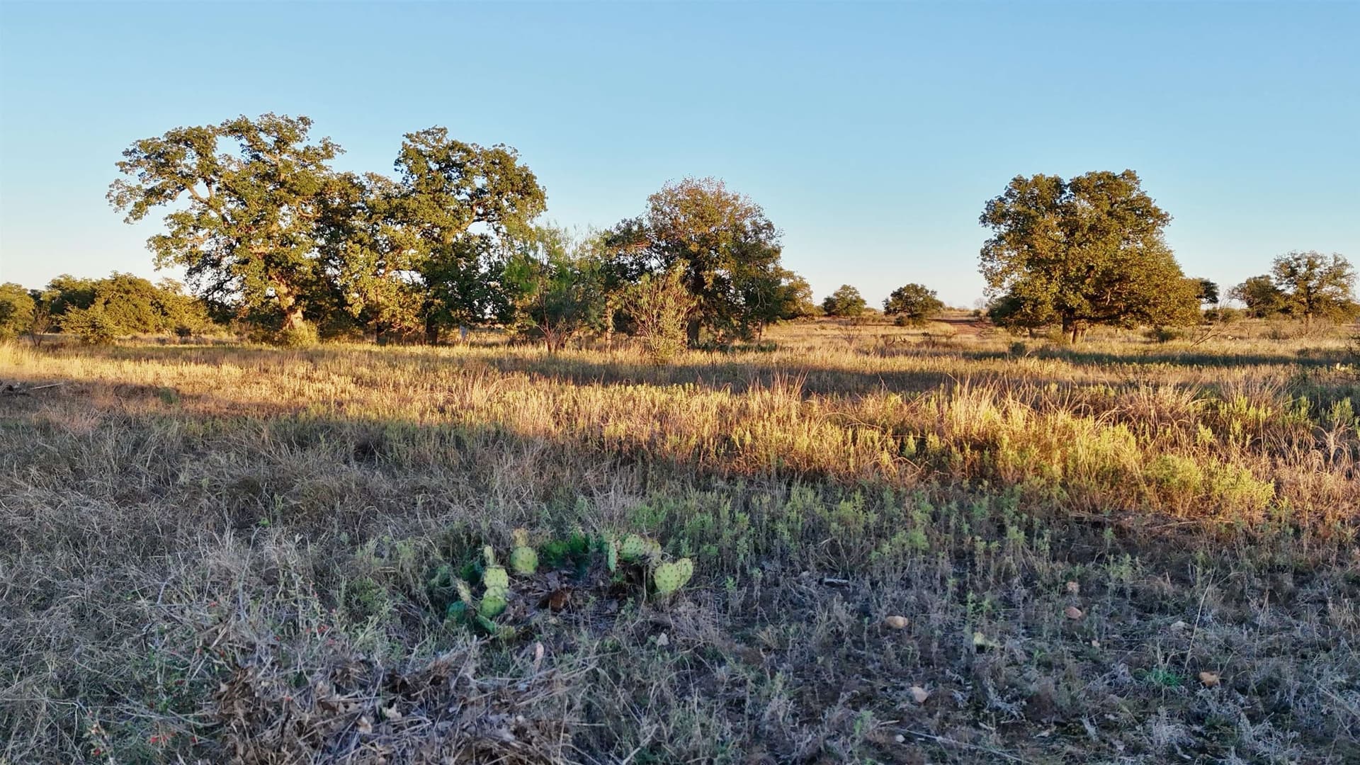 75.9 acres in Llano County - photo 21