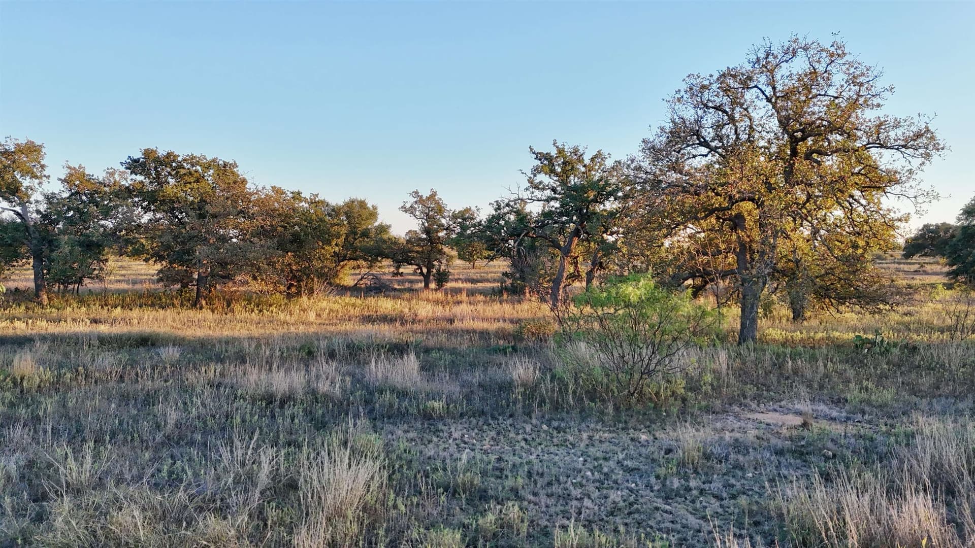 75.9 acres in Llano County - photo 6