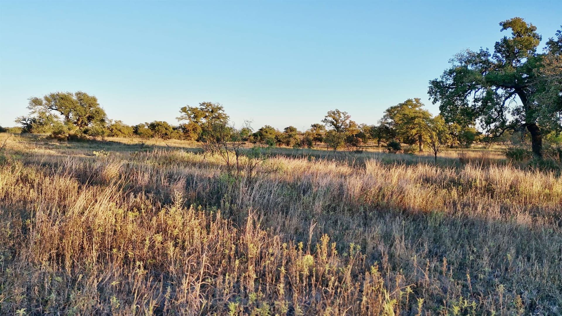 75.9 acres in Llano County - photo 20
