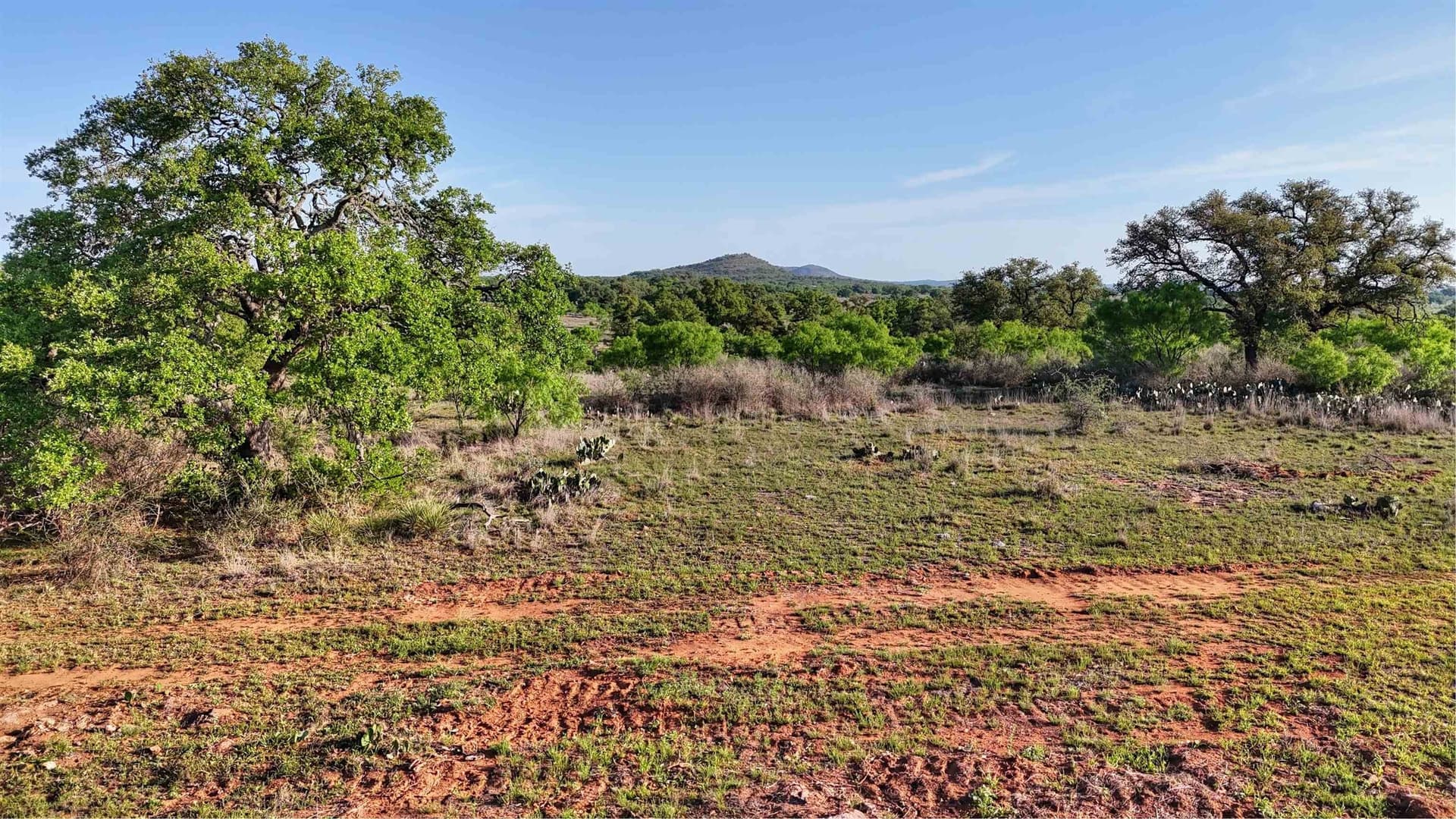 75.9 acres in Llano County - photo 13
