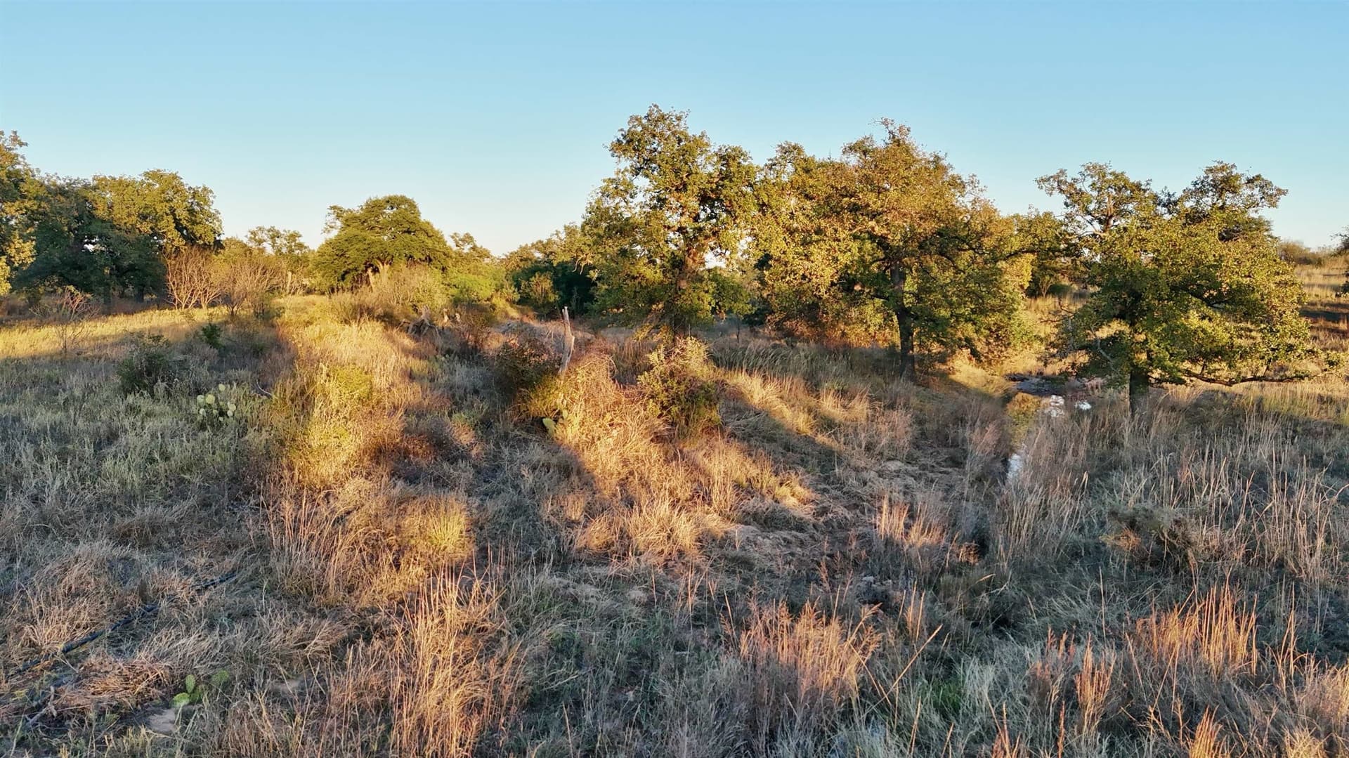75.9 acres in Llano County - photo 22
