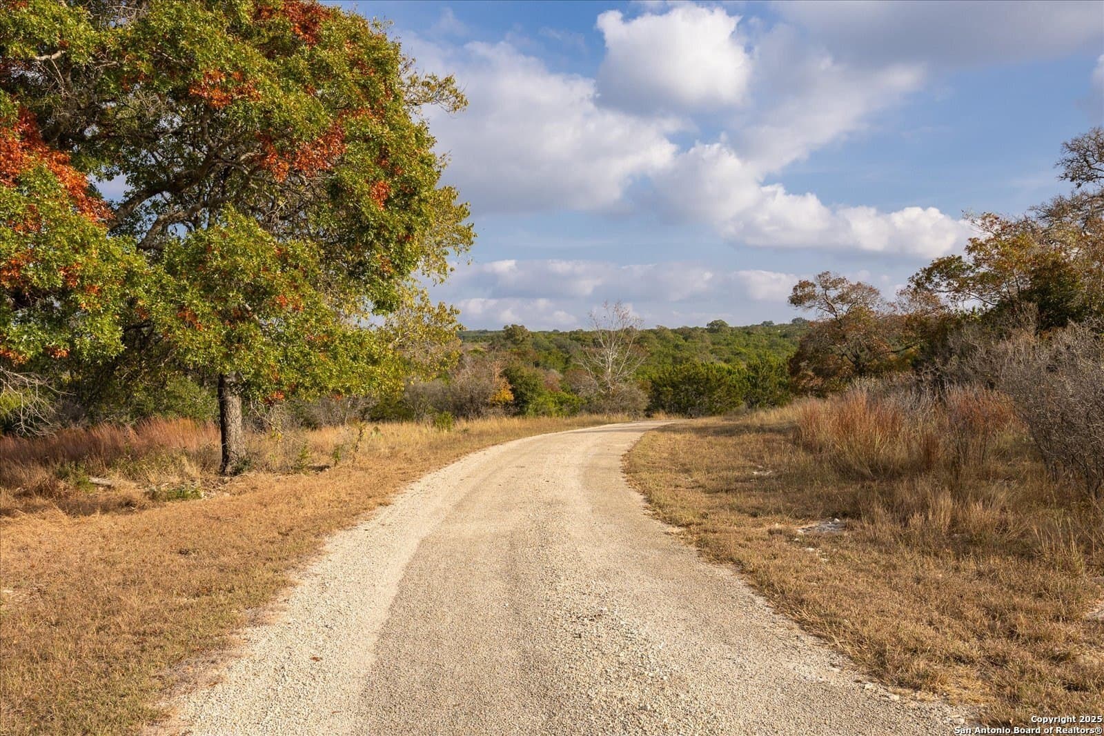 25.14 acres in Kendall County - photo 9