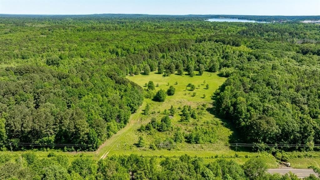 202.83 acres in Upshur County gallery image 2