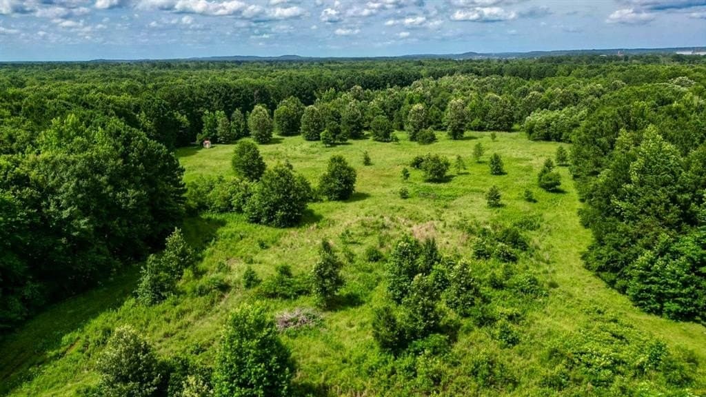 202.83 acres in Upshur County featured view