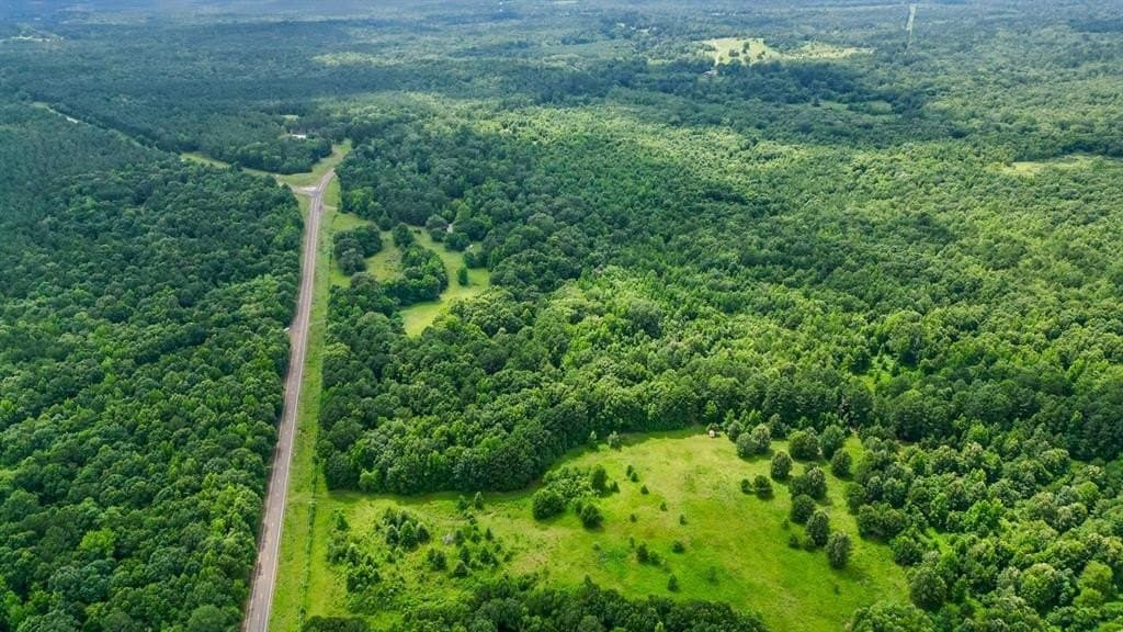 202.83 acres in Upshur County gallery image 4