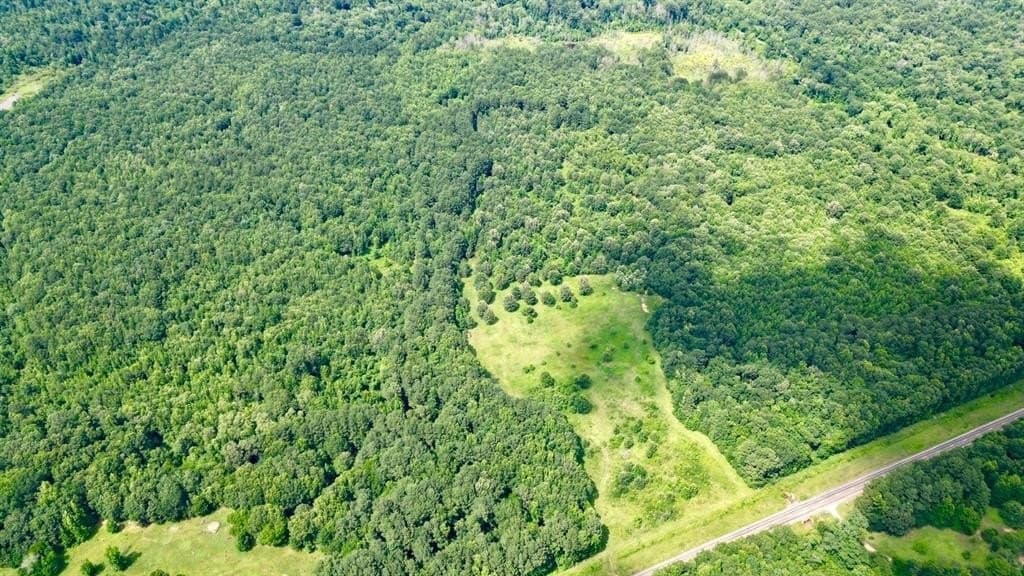 202.83 acres in Upshur County gallery image 3