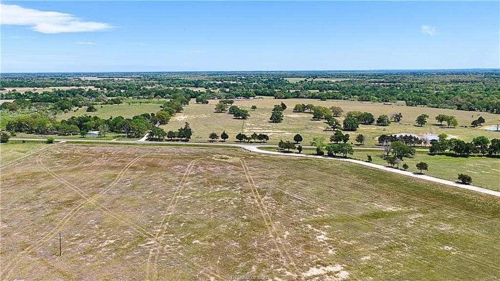67.36 acres in Burleson County gallery image 4