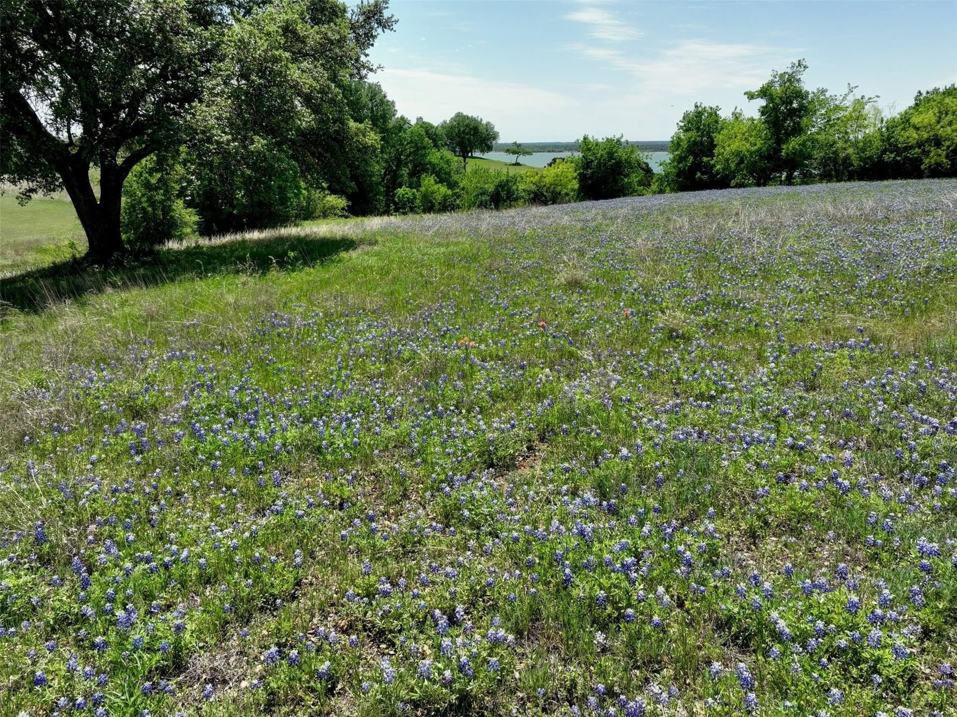 0.55 acres in Hill County - photo 8