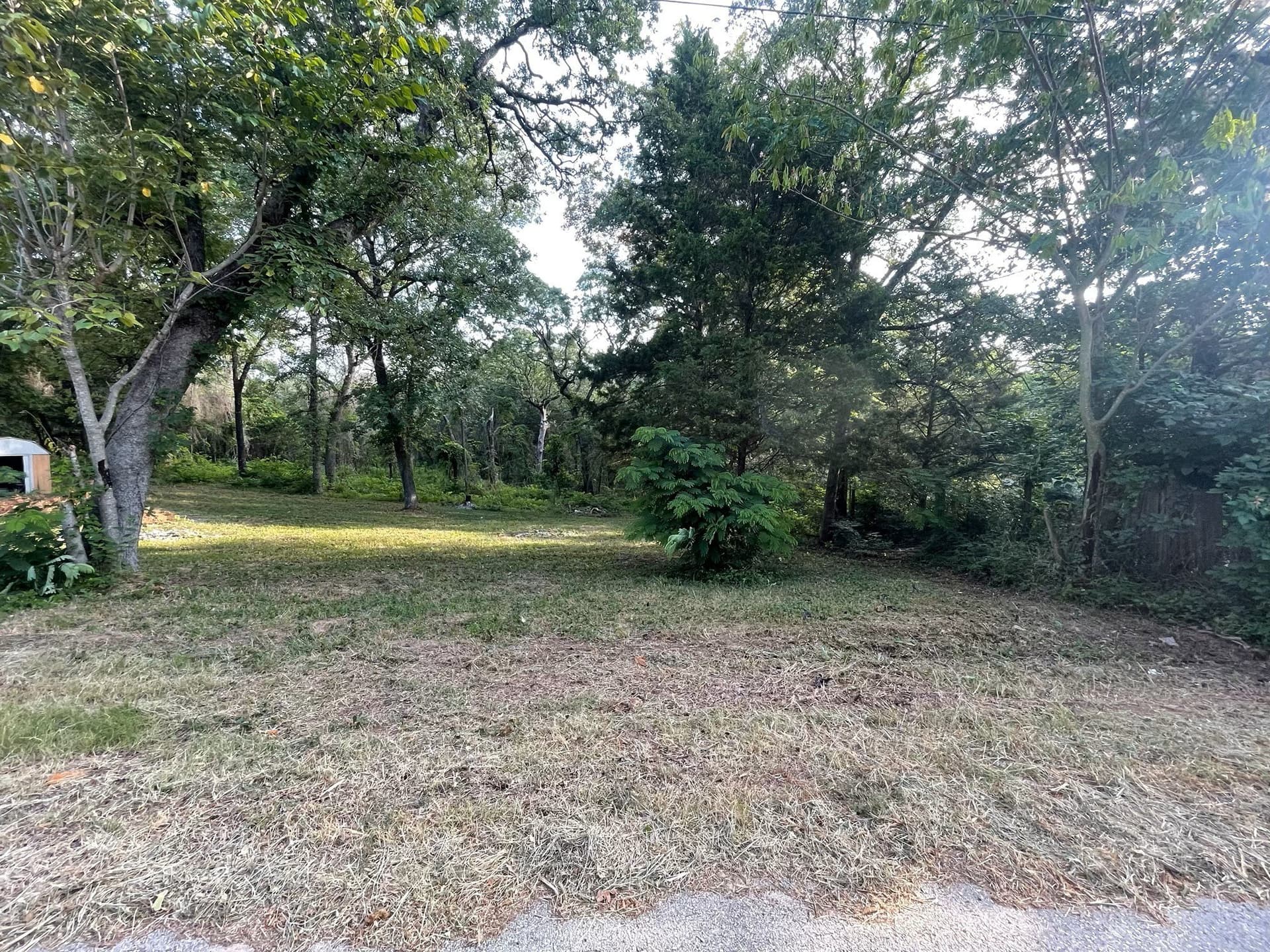 0.15 acres in Henderson County - photo 3