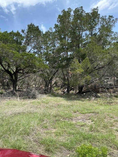 123 acres in Kerr County gallery image 2