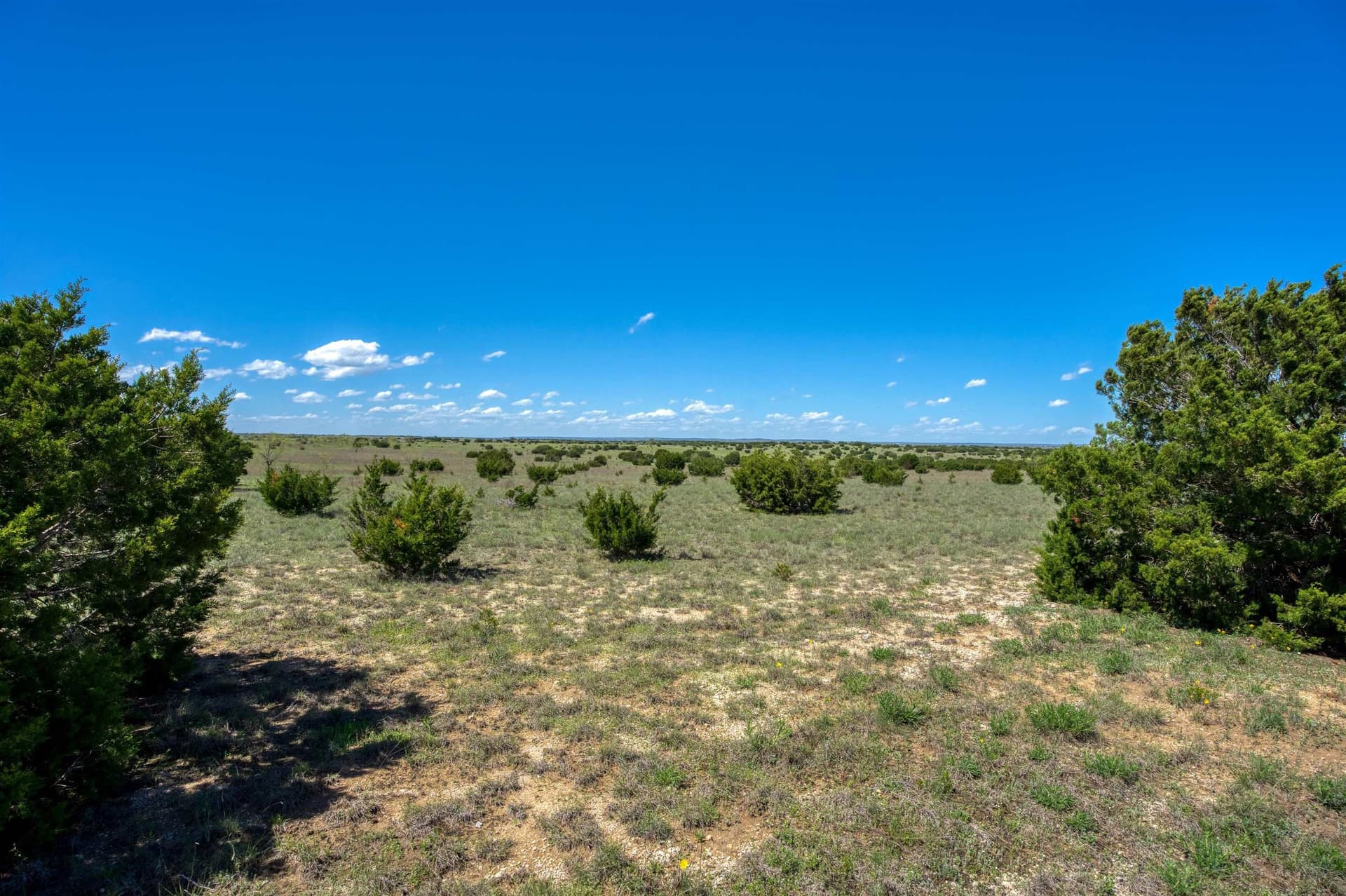 686.04 acres in Lampasas County - photo 24