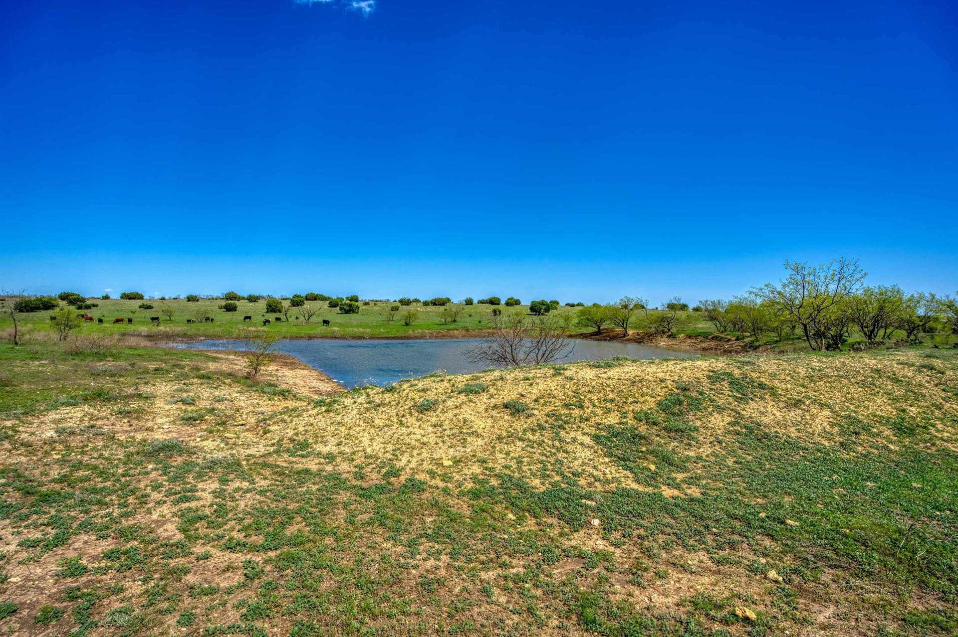686.04 acres in Lampasas County - photo 26