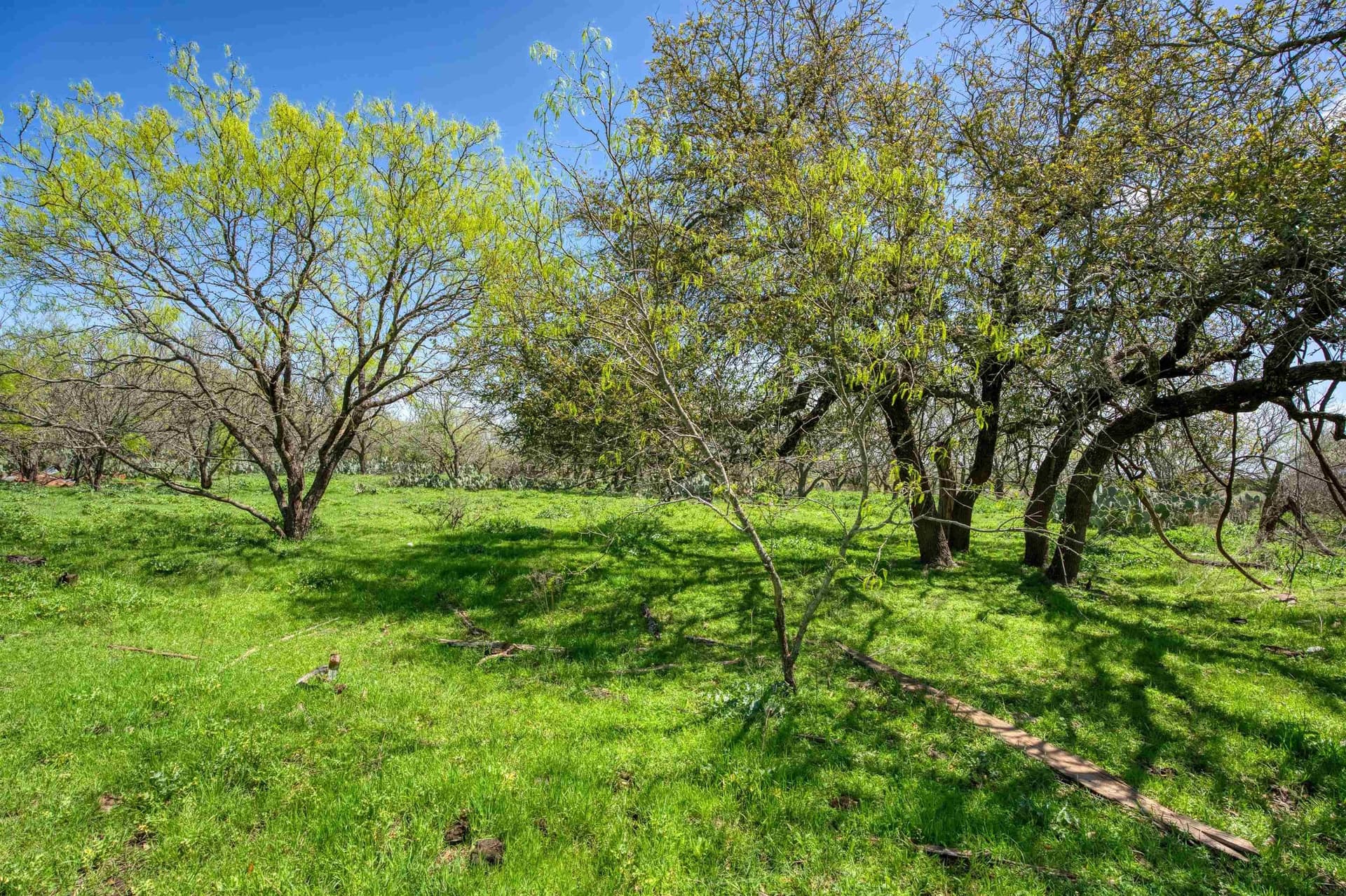 686.04 acres in Lampasas County - photo 27