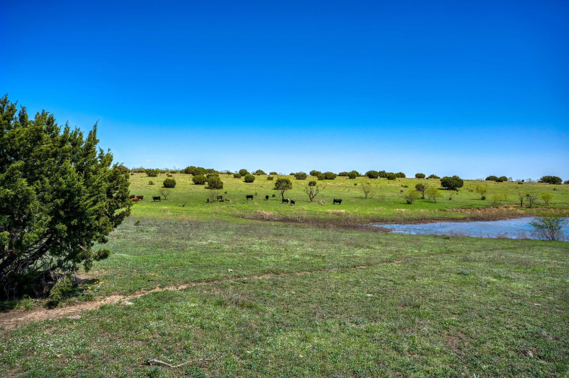 686.04 acres in Lampasas County - photo 25